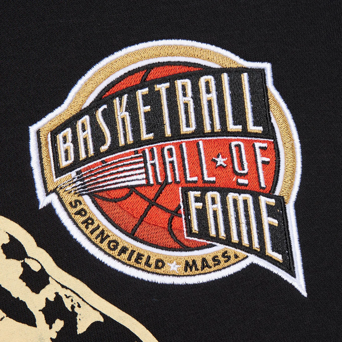 Mitchell & Ness Pistons Chauncey Billups Hall of Fame Hoodie - Image 4